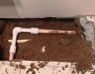 嘉黎测漏水哪家好