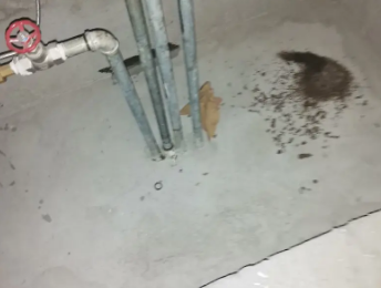 嘉黎卫生间测漏水价格明细