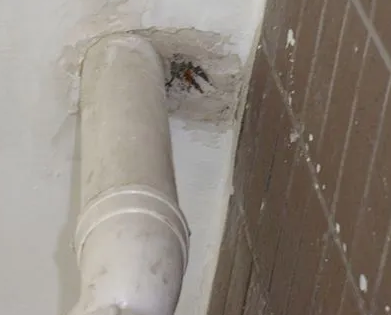 嘉黎漏水检测哪家好